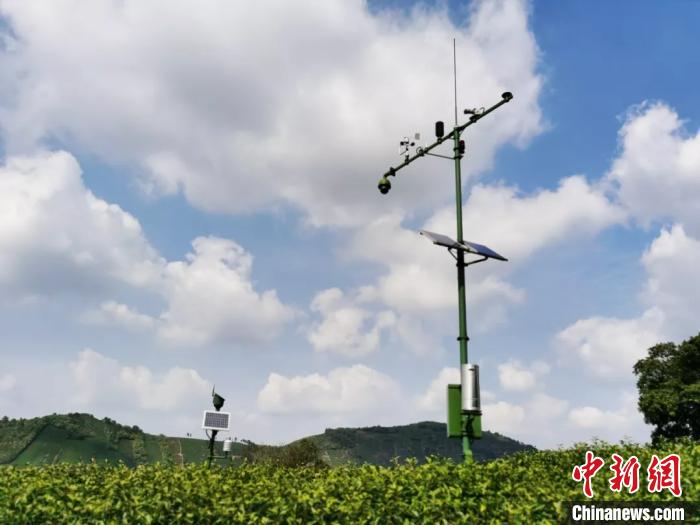 白茶茶园农业气象观测系统 航天科工供图 摄