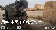 中国工兵排雷技术有多牛? 多国维和军人现场求教